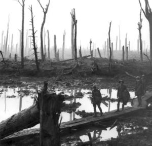 300px-chateau_wood_ypres_1917.jpg