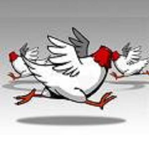 headless chickens