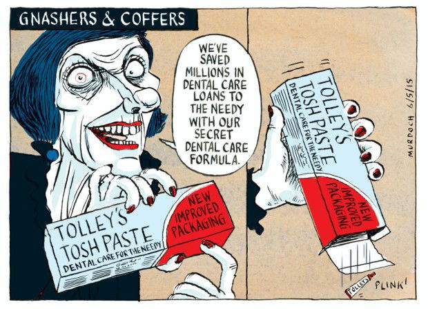 Anne Tolley dental care