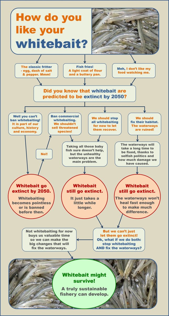 whitebait harvests left