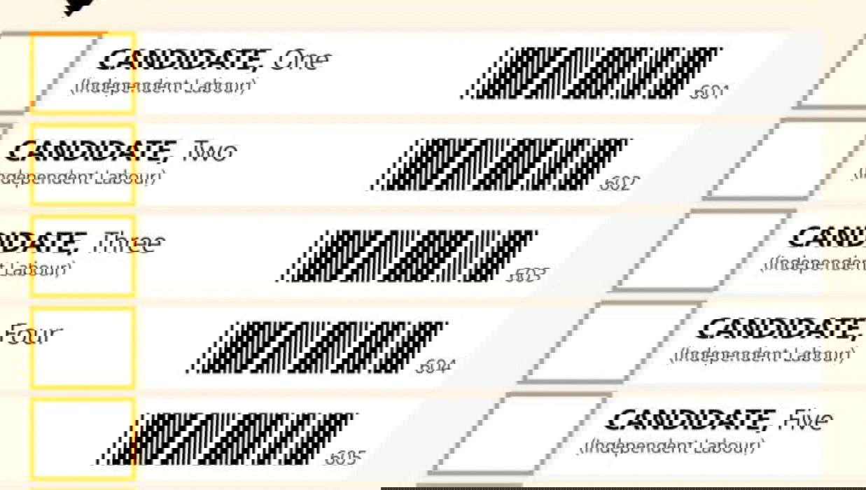An example Single Transferable Vote ballot